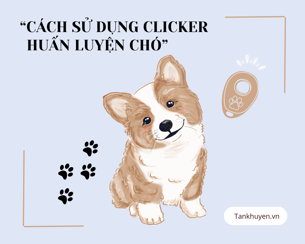 Cách sử dụng clicker huấn luyện chó