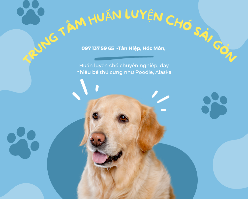 Dạy chó đi vệ sinh
