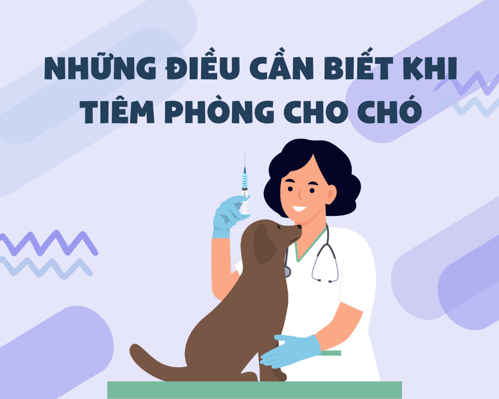 Những điều cần biết khi tiêm phòng cho chó (Vacxin 5-7 bệnh)