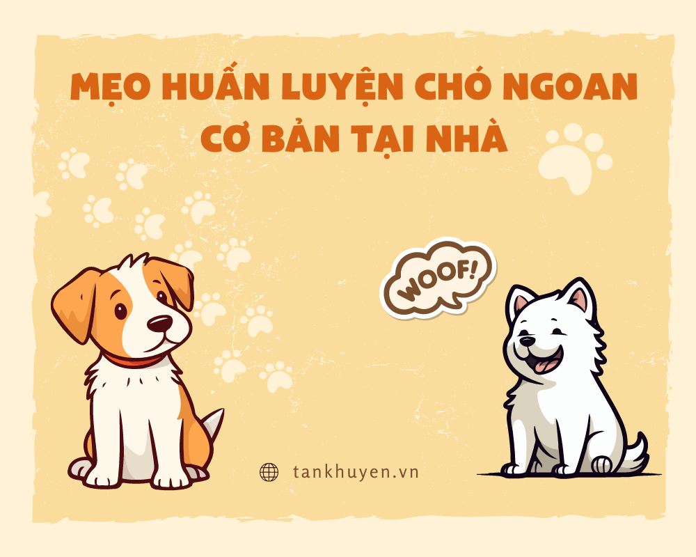Mẹo huấn luyện chó ngoan cơ bản tại nhà