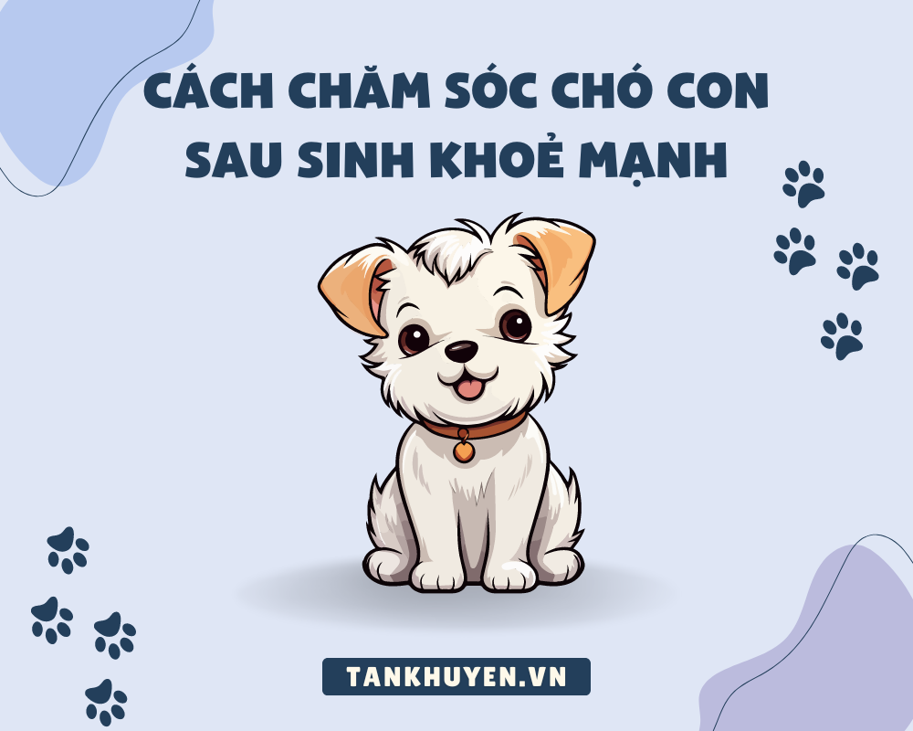 Cách chăm sóc chó con sau sinh khoẻ mạnh (Chó con 1 tháng tuổi đến 6 tháng tuổi)