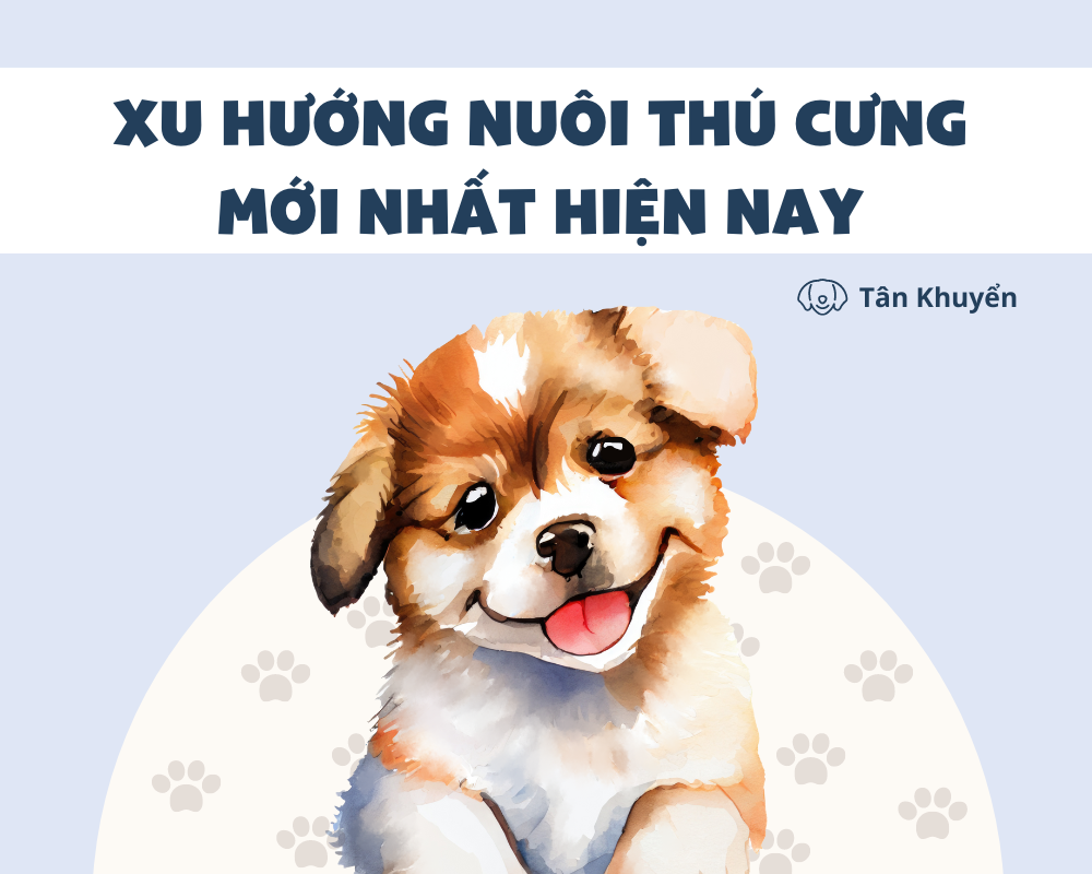 Xu hướng nuôi thú cưng mới nhất hiện nay và giá trị của thú cưng