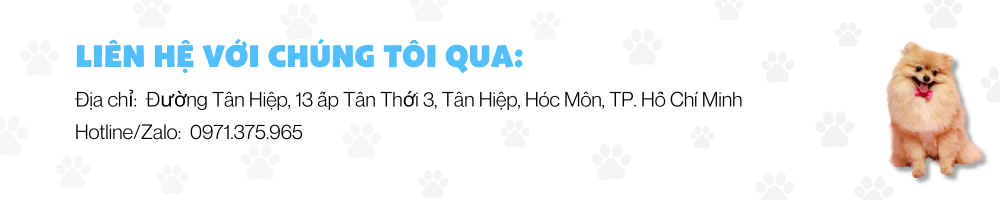 Những dấu hiệu và cách trị bệnh giun sán chó